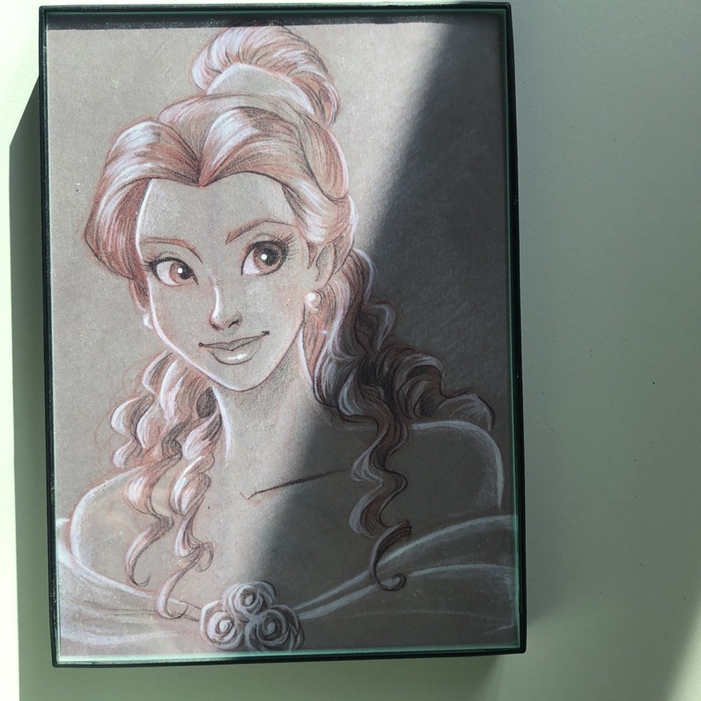 Disney princess Belle framed artwork